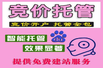 某知名品牌SEM推广的创意与效果